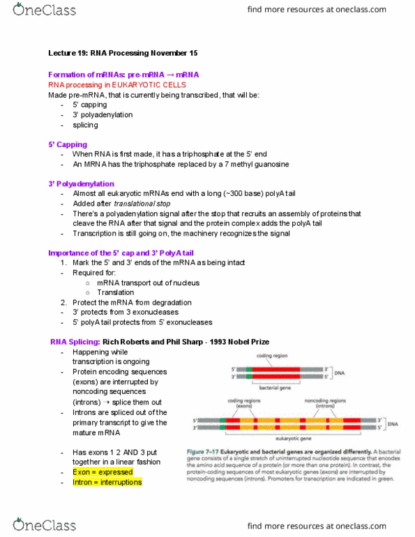 Biochemistry 2280A Lecture Notes - Lecture 3: Alternative Splicing, Guanosine, Consensus Sequence thumbnail