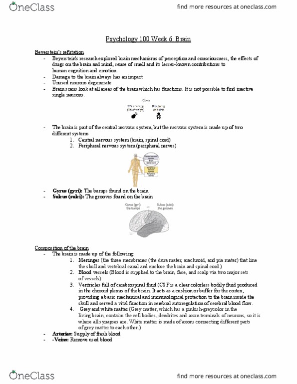 PSYC 100 Lecture Notes - Lecture 6: Spinal Canal, White Matter, Hypothalamus thumbnail