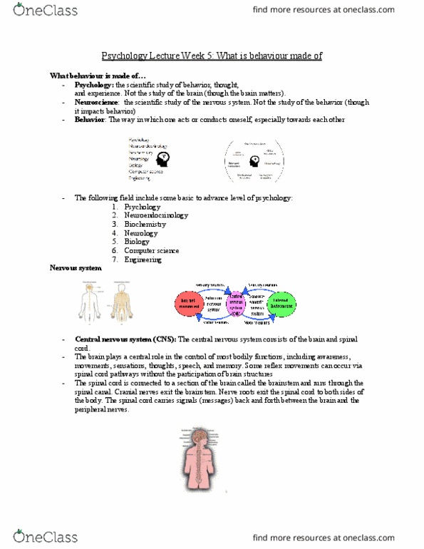 PSYC 100 Lecture Notes - Lecture 5: Chemical Substance, Cranial Nerves, Autonomic Computing thumbnail
