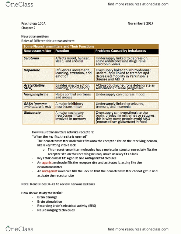 PSYC 100A Lecture Notes - Lecture 21: Brain Damage, Blood Pressure, Transcranial Magnetic Stimulation thumbnail