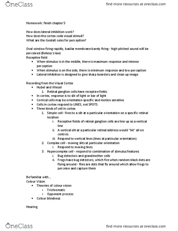 Psychology 1000 Lecture Notes - Lecture 16: Simple Cell, Visual Cortex, Railways Act 1921 thumbnail