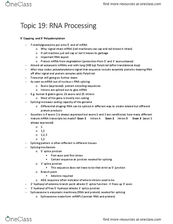 Biochemistry 2280A Lecture Notes - Lecture 19: Interferon Alfa-2B, Exon, Beta Thalassemia thumbnail