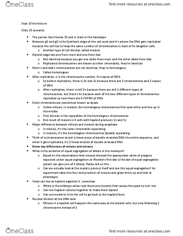 BIOL 205 Lecture Notes - Lecture 2: Wild Type, Pseudoautosomal Region, Noncoding Dna thumbnail