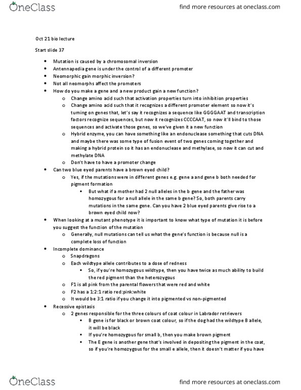 BIOL 205 Lecture Notes - Lecture 9: Dna Replication, Antennapedia, Alanine thumbnail