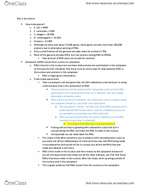 BIOL 205 Lecture Notes - Lecture 11: Polyadenylation, Transesterification, Exonuclease thumbnail