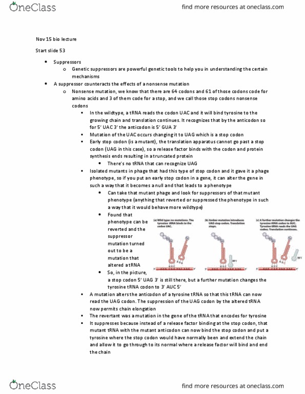 BIOL 205 Lecture Notes - Lecture 14: Aspergillus Nuclease S1, Dna Ligase, Replisome thumbnail