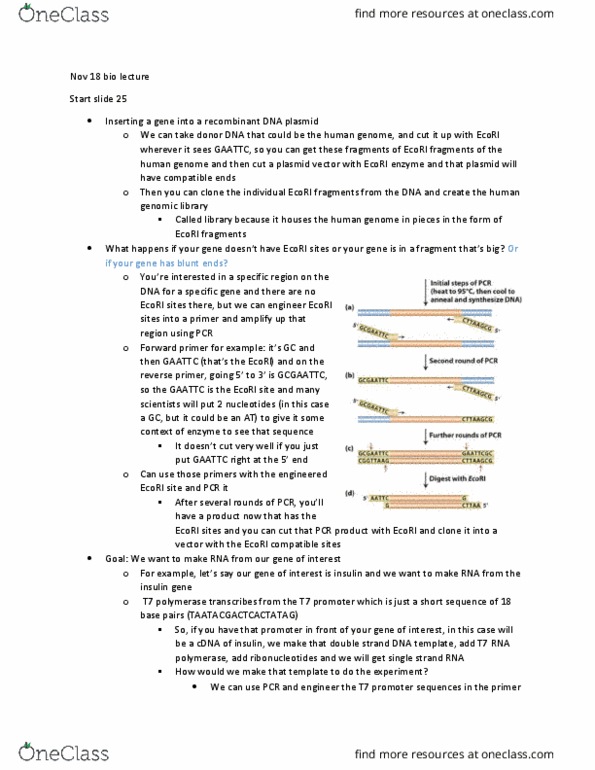 BIOL 205 Lecture Notes - Lecture 15: Auxotrophy, Cloning, Calcium Chloride thumbnail