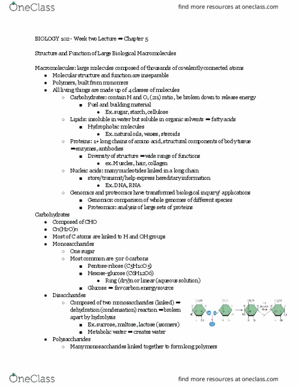 BIOL 102 Lecture Notes - Lecture 8: Glycogen, Cholesterol, Trans Fat thumbnail