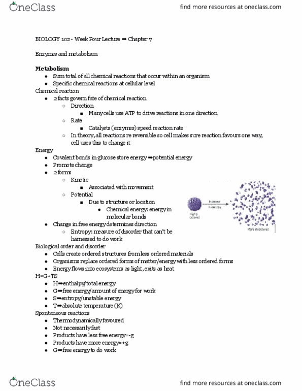 BIOL 102 Lecture Notes - Lecture 1: Reaction Rate, Chemical Energy, Cytochrome C Oxidase thumbnail