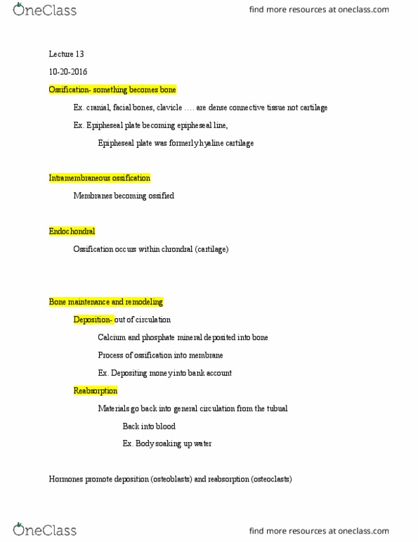 BIOL 207 Lecture Notes - Lecture 13: Osteoclast, Thyroid Hormones, Parathyroid Gland thumbnail