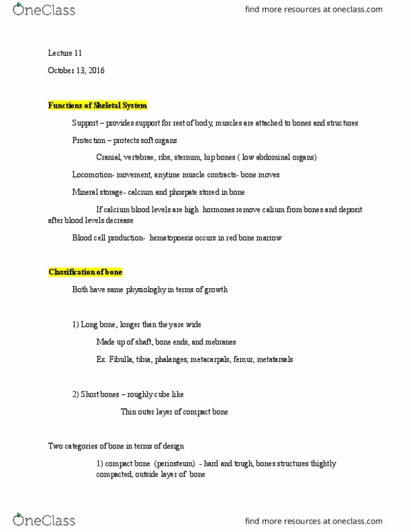 BIOL 207 Lecture Notes - Lecture 11: Metacarpal Bones, Sesame, Endosteum thumbnail