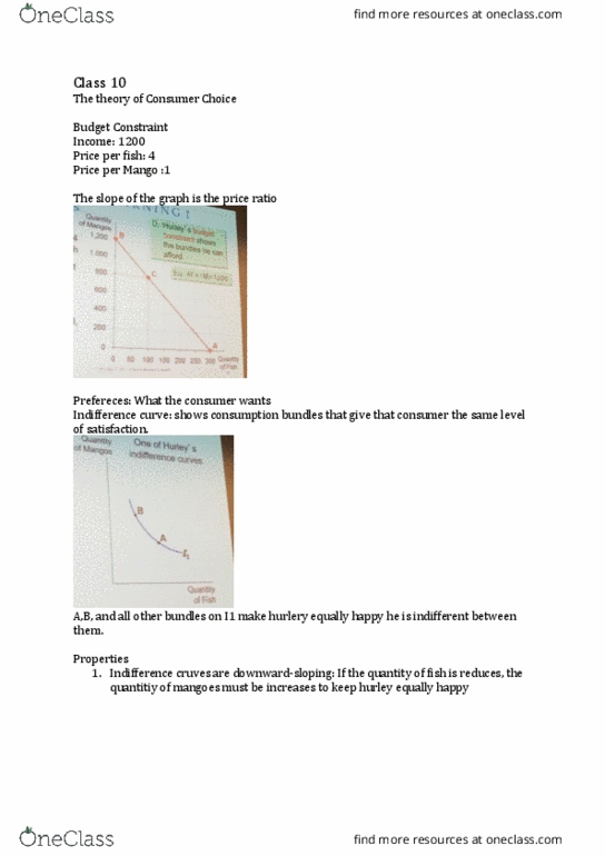 ECN 104 Lecture Notes - Lecture 10: Indifference Curve, Budget Constraint, Interest Rate thumbnail