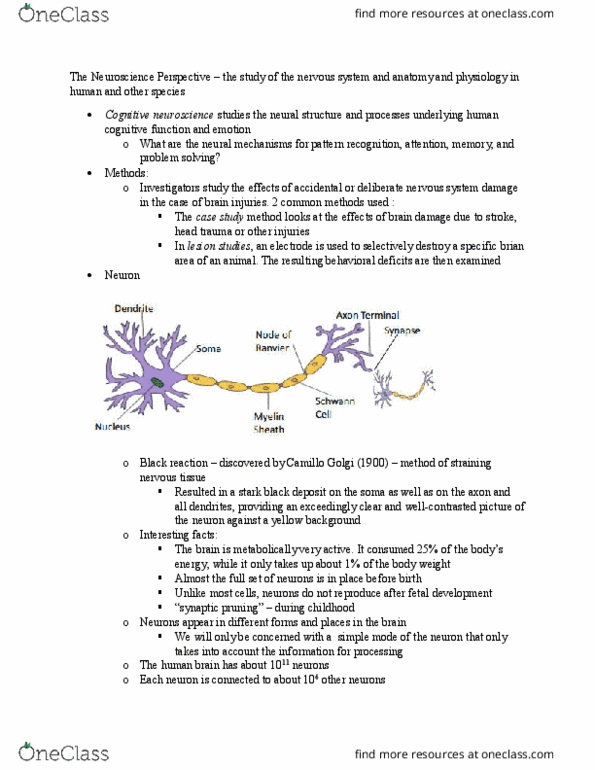COGS 100 Lecture Notes - Lecture 6: Camillo Golgi, Synaptic Pruning, Cognitive Neuroscience thumbnail