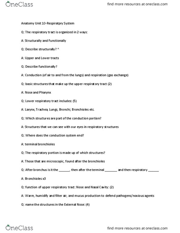 NURS140 Lecture Notes - Lecture 10: Respiratory Tract, Nasal Cavity, Ethmoid Bone thumbnail