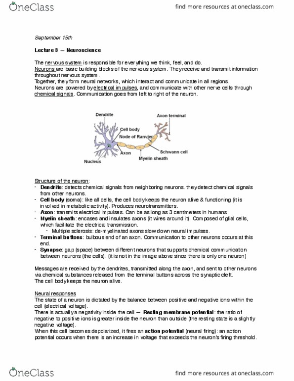 CAS PS 101 Lecture Notes - Lecture 3: Myelin, Neuroglia, Multiple Sclerosis thumbnail