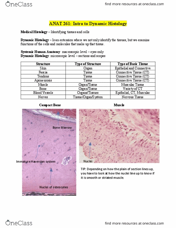 ANAT 261 Lecture Notes - Lecture 1: Formaldehyde, Optical Microscope, Histology thumbnail