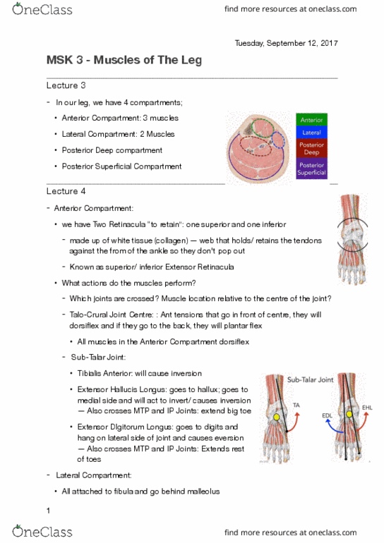 document preview image