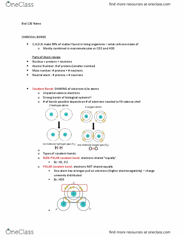 BIOL130 Lecture Notes - Lecture 5: Chemical Polarity, Non-Covalent Interactions, Hydrogen Bond thumbnail