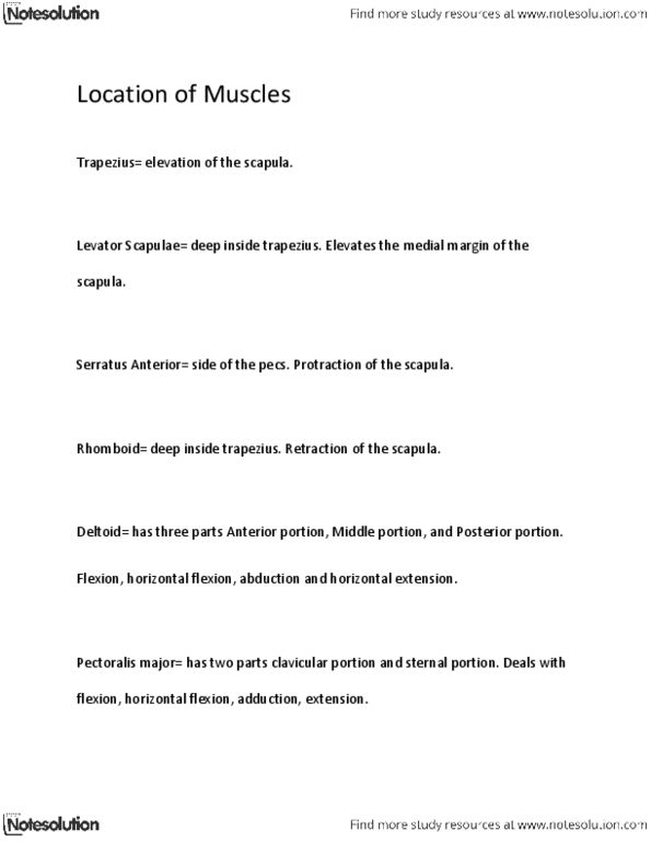 KINS 2295 Lecture Notes - Tibialis Anterior Muscle, Brachialis Muscle, Shoulder Joint thumbnail