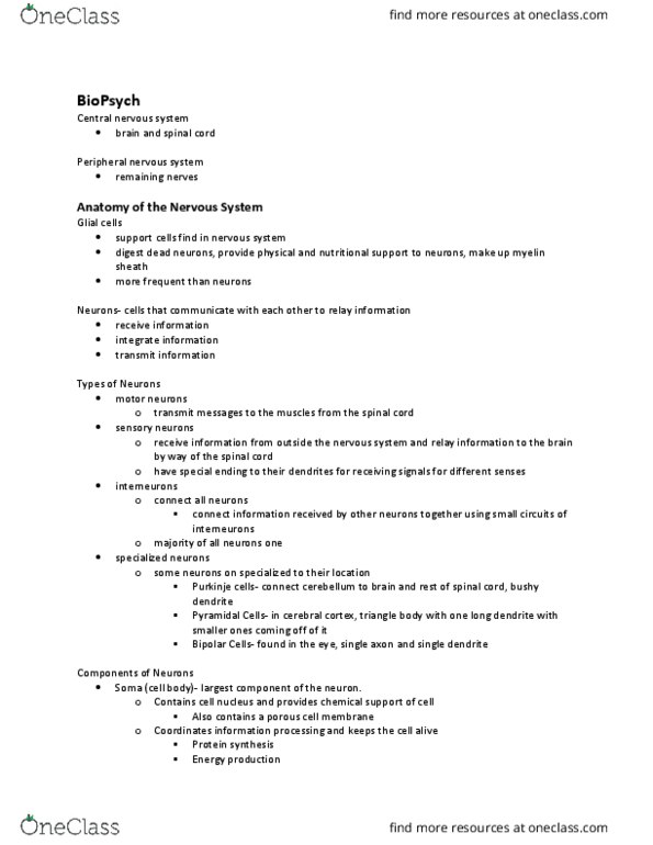 PSYC 100 Lecture Notes - Lecture 3: Myelin, Peripheral Nervous System, Axon Terminal thumbnail