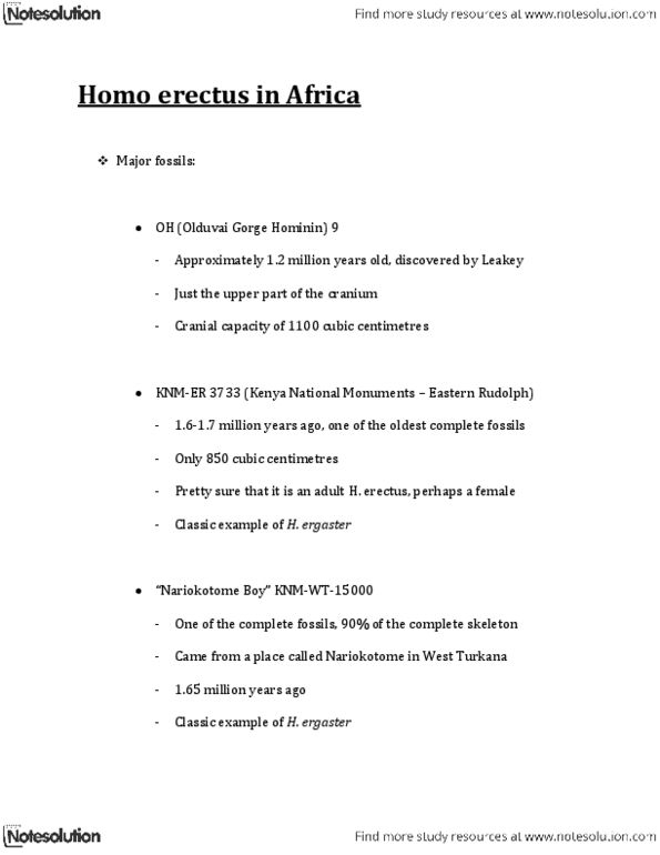 ANTH 1131 Lecture Notes - Homo Heidelbergensis, Homo Erectus, Olduvai Gorge thumbnail
