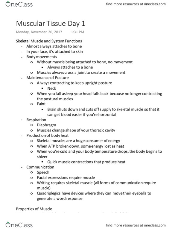 KINESIOL 2Y03 Lecture Notes - Lecture 51: Skeletal Muscle, Thoracic Cavity, Smooth Muscle Tissue thumbnail