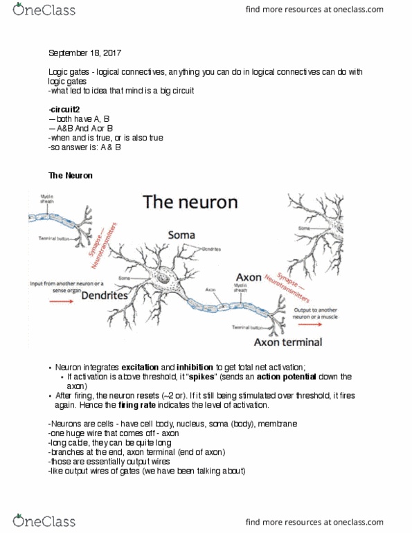 01:830:305 Lecture Notes - Lecture 4: Axon Terminal, Behaviorism, Circuit Diagram thumbnail