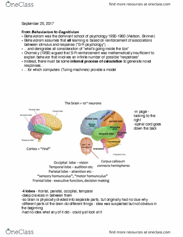 01:830:305 Lecture Notes - Lecture 5: Occipital Lobe, Frontal Lobe, Temporal Lobe thumbnail