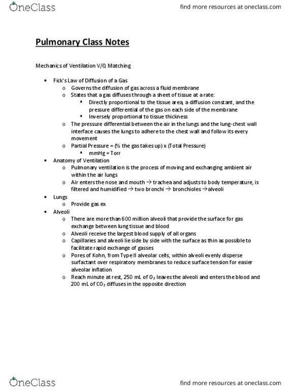 KIN 232 Lecture Notes - Lecture 3: Surface Tension, Trachea, Bronchus thumbnail