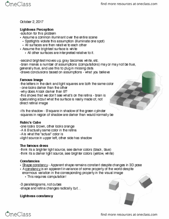 01:830:305 Lecture Notes - Lecture 7: Color Constancy, Subjective Constancy, Ames Room thumbnail