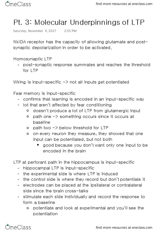 NSCI 323 Lecture Notes - Lecture 12: Nmda Receptor, Perforant Path, Gria1 thumbnail