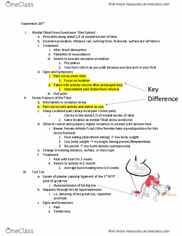 KIN 184 Lecture Notes - Lecture 4: Joint Capsule, Flat Feet, Deltoid Ligament thumbnail