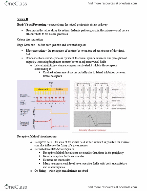 PSYC 271 Lecture Notes - Lecture 8: Visual Cortex, Receptive Field, Visual Processing thumbnail