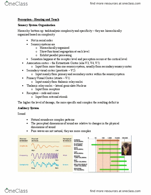 PSYC 271 Lecture Notes - Lecture 9: Sensory Cortex, Visual Cortex, Natural Sounds thumbnail