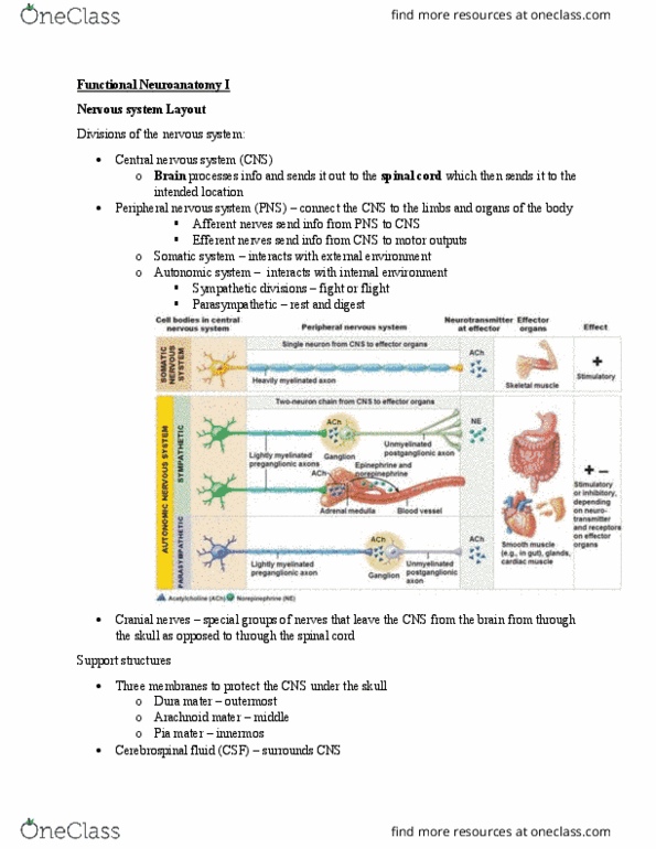 PSYC 271 Lecture 2: Lesson 2 thumbnail