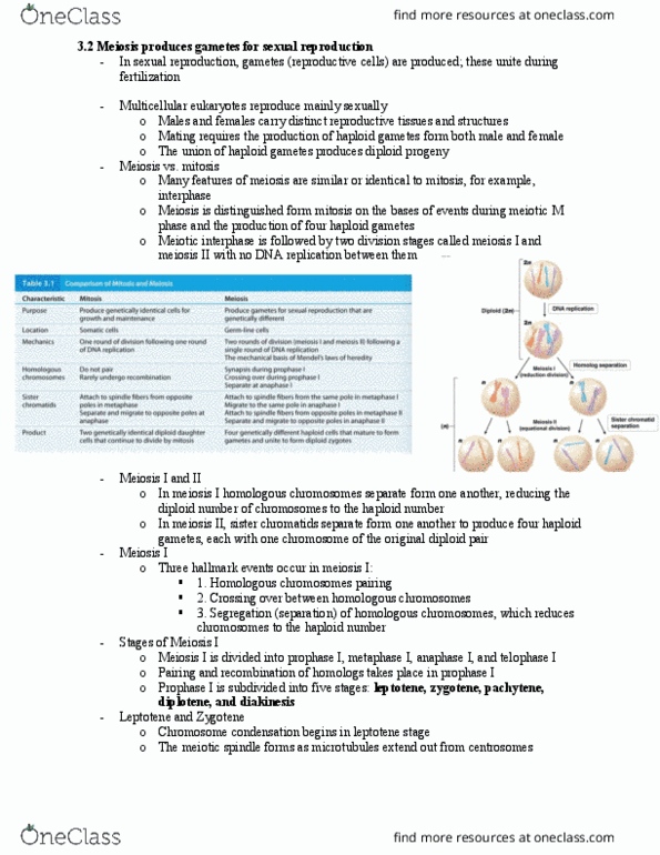 MBIO 2020 Lecture Notes - Lecture 1: Synaptonemal Complex, Sister Chromatids, Nuclear Membrane thumbnail