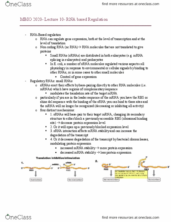 MBIO 2020 Lecture Notes - Lecture 10: Ribosome-Binding Site, Antisense Rna thumbnail