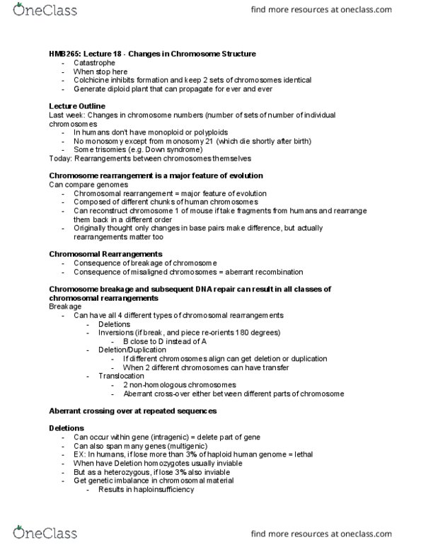 HMB265H1 Lecture Notes - Lecture 18: Ploidy, Monosomy, Gene Mapping thumbnail