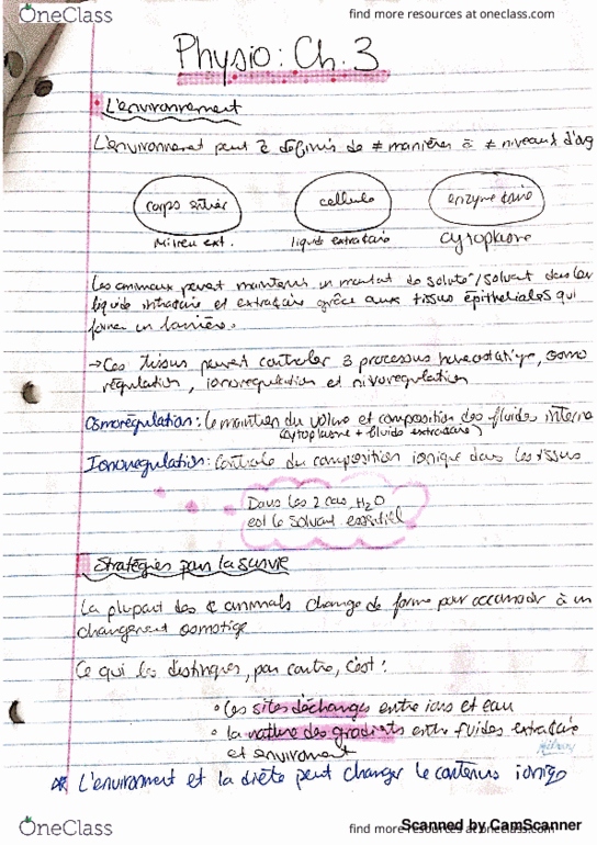 BIO 3702 Lecture 5: 3 - Osmorégulation (Partie 1) thumbnail