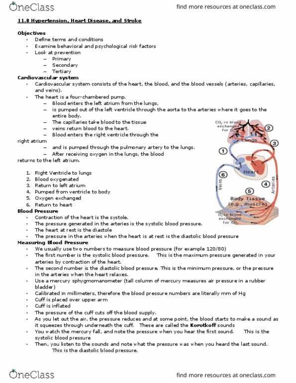 PSY-3635 Lecture Notes - Lecture 26: Blood Pressure, Coronary Artery Disease, Coronary Circulation thumbnail