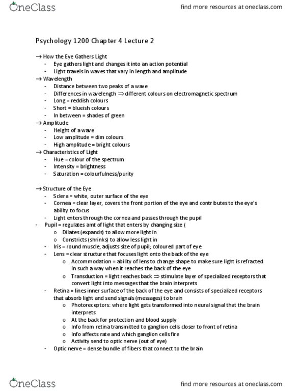 PSYC 1200 Lecture Notes - Lecture 2: Optic Nerve, Cornea, Sclera thumbnail