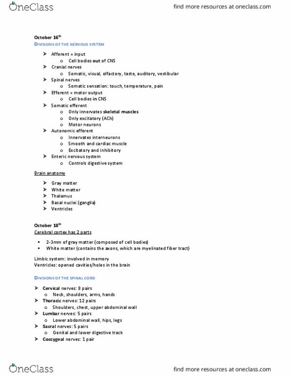 PHGY 209 Lecture Notes - Lecture 15: Enteric Nervous System, List Of Lumbar Nerves, Spinal Nerve thumbnail