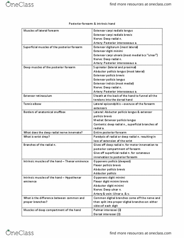 ANAT 315 Chapter Notes - Chapter 3: Extensor Pollicis Brevis Muscle, Opponens Digiti Minimi Muscle Of Hand, Extensor Pollicis Longus Muscle thumbnail