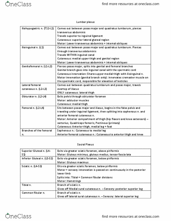 ANAT 315 Chapter Notes - Chapter 4: Greater Sciatic Foramen, Quadratus Lumborum Muscle, Gluteus Medius Muscle thumbnail