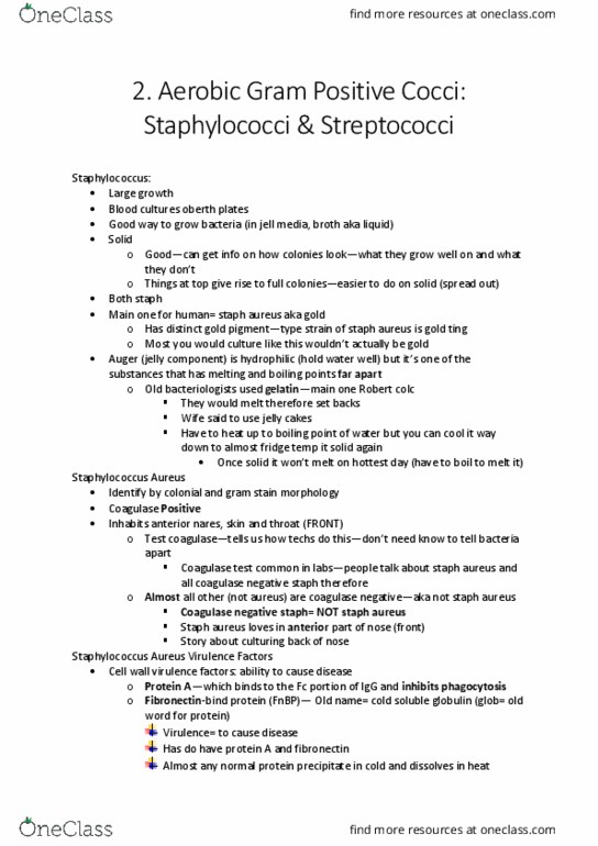 Microbiology and Immunology 3820A Lecture Notes - Lecture 2: Toxic Shock Syndrome, Coagulase, Fibronectin thumbnail