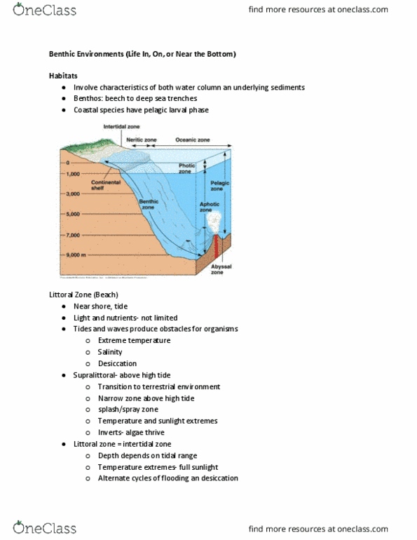 MSC 111 Lecture Notes - Lecture 16: Littoral Zone, Red Tide, Benthos thumbnail