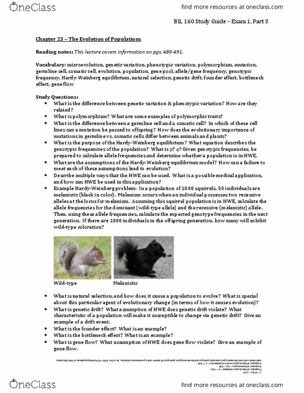 BIL 160 Chapter Notes - Chapter 23: Melanism, Genotype Frequency, Allele Frequency thumbnail