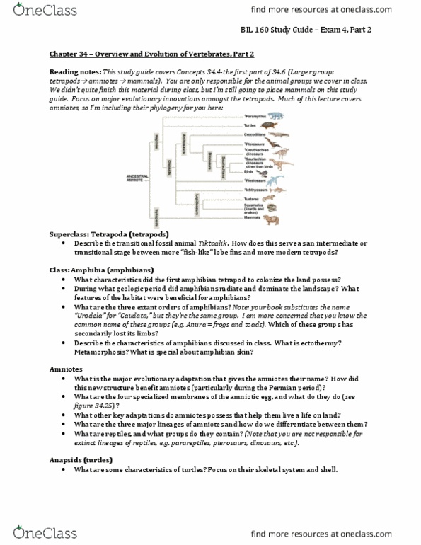 BIL 160 Chapter Notes - Chapter 34: Amniote, Salamander, Ectotherm thumbnail