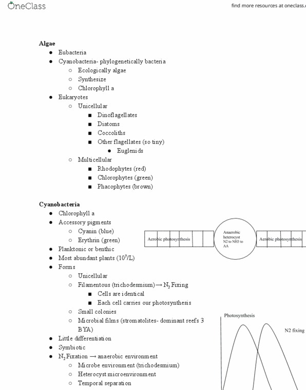 document preview image