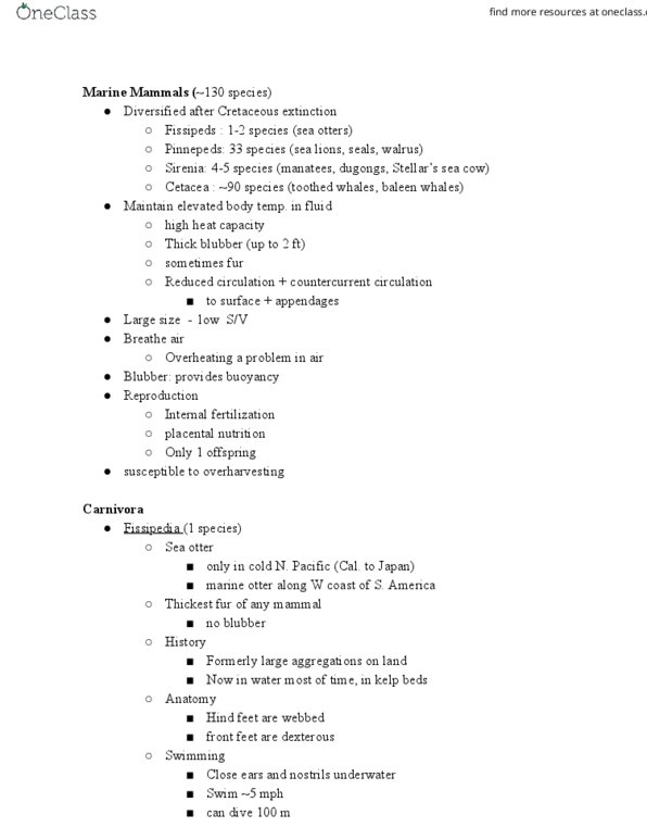MSC 230 Lecture Notes - Lecture 18: Sirenia, Cetacea, Carnivora thumbnail